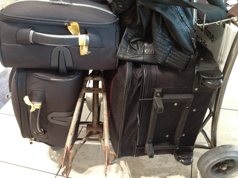 Healing Freestyler frame pickup Wellington Airport, NZ