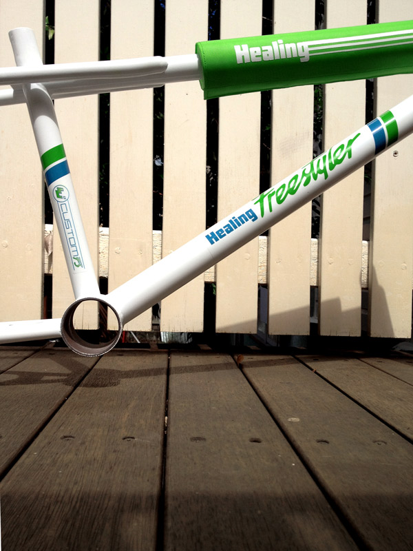 Healing Freestyler build project, frame with decals