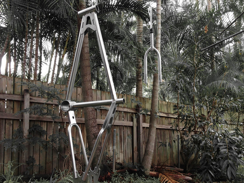 RAWR Custom Pro frame — first clear coat