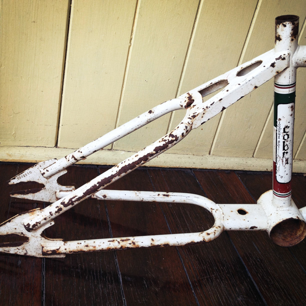 RAWR Custom Pro build progress 1