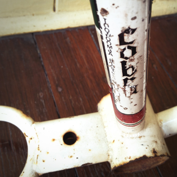 RAWR Custom Pro build progress 3