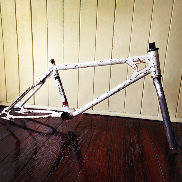 RAWR Custom Pro build progress