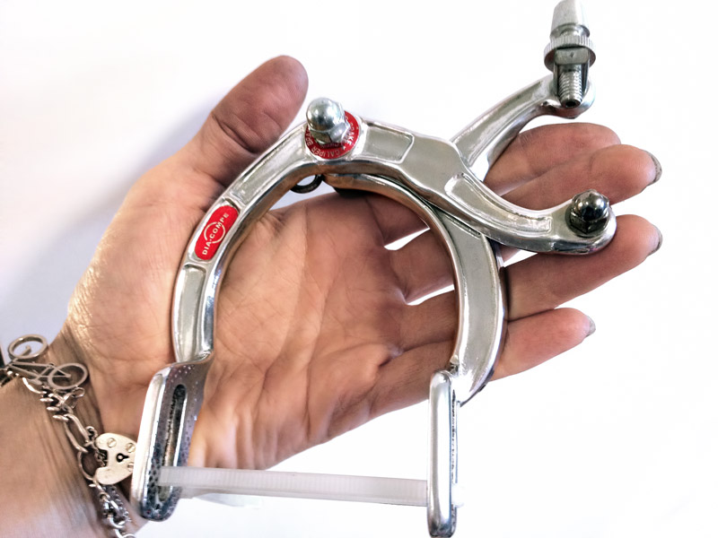 RAWR polished brake caliper detail