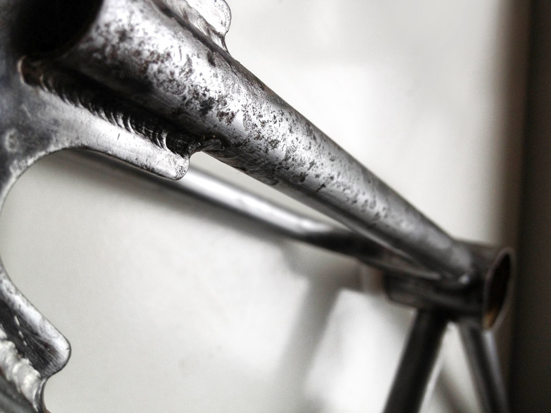 RAWR Custom Pro frame detail 10