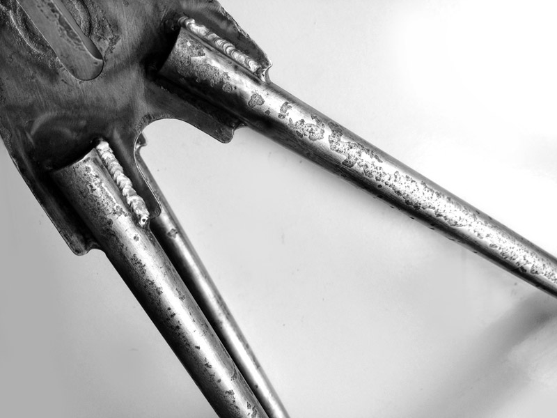 RAWR Custom Pro frame detail 4