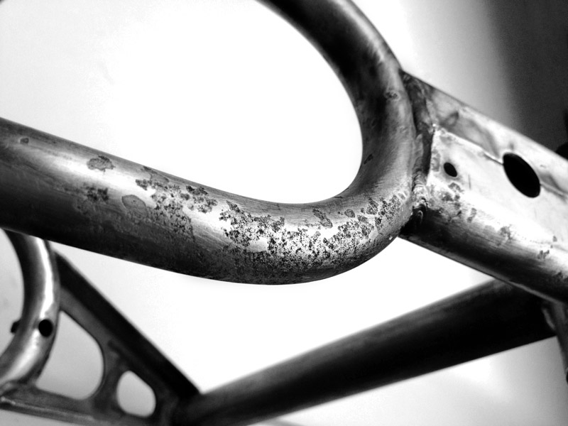 RAWR Custom Pro frame detail 5