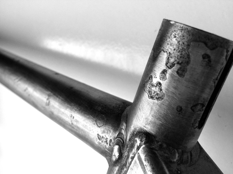 RAWR Custom Pro frame detail 6