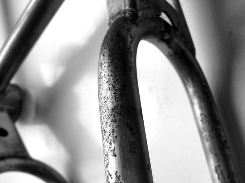 RAWR Custom Pro frame detail 7