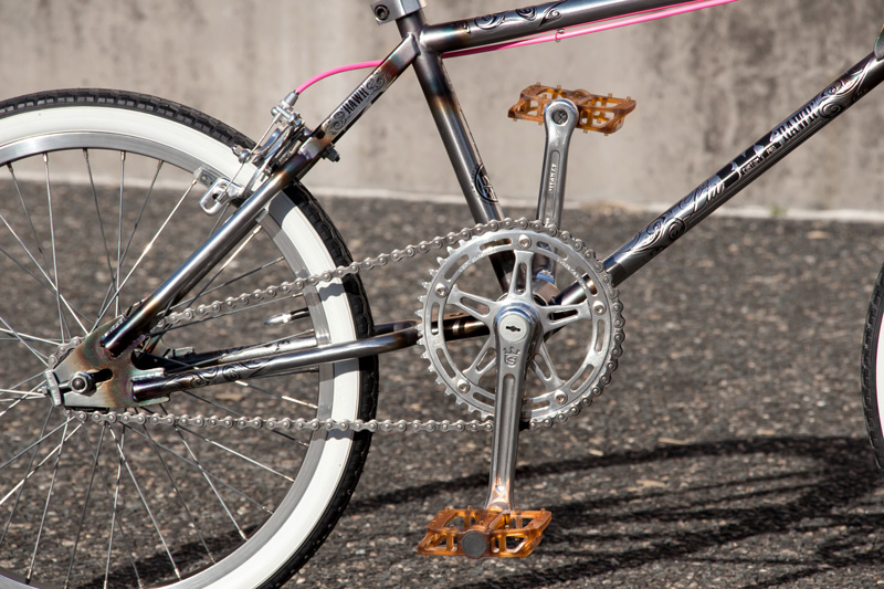 LixBMX 'RAWR' Custom Pro