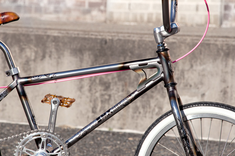 LixBMX 'RAWR' Custom Pro