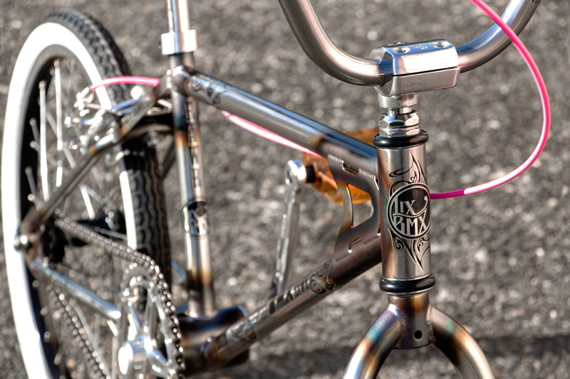 LixBMX 'RAWR' Custom Pro