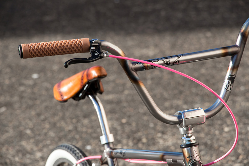 LixBMX 'RAWR' Custom Pro