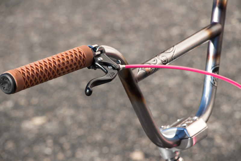 LixBMX 'RAWR' Custom Pro