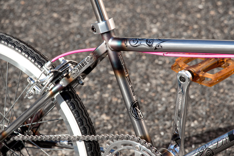 LixBMX 'RAWR' Custom Pro