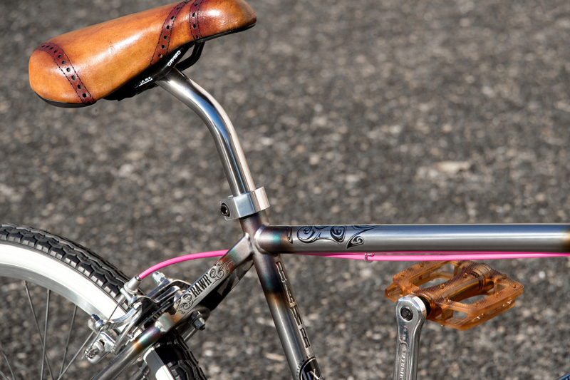 LixBMX 'RAWR' Custom Pro