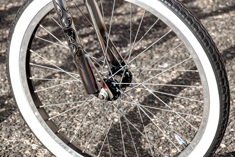 LixBMX 'RAWR' Custom Pro