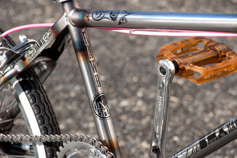 LixBMX 'RAWR' Custom Pro