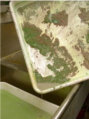 Sediments from the saline sulphate etch