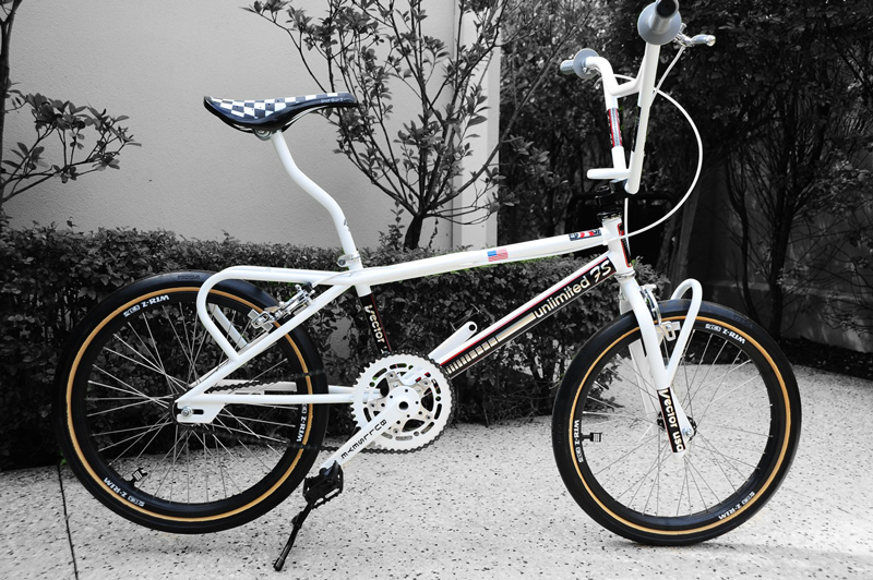 Enzo's Vector Unlimited FS