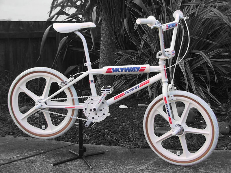 Chris's white 84 Skyway T/A