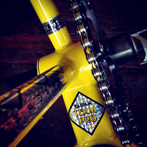 Custom DB inspired Madison Taipan decals fitted — detail