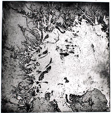 Delineation III — 2007 steel etching 22x22