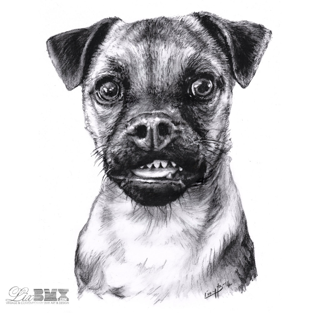 Hardy The Puppy - charcoal sketch by Lix North