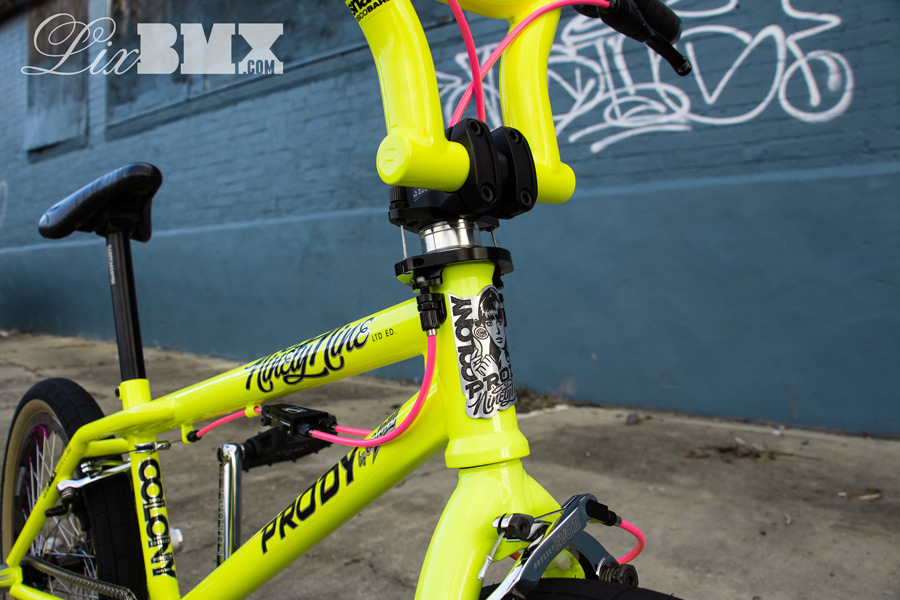 Colony_Prody_LixBMX-2014-0008