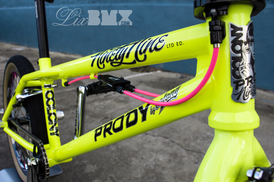 Colony_Prody_LixBMX-2014-0017