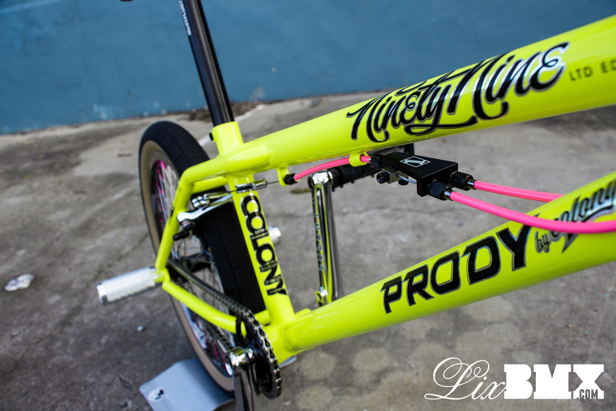 Colony_Prody_LixBMX-2014-0034