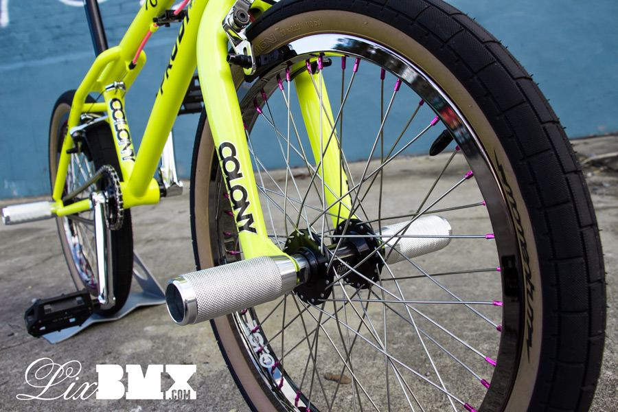 Colony_Prody_LixBMX-2014-0035