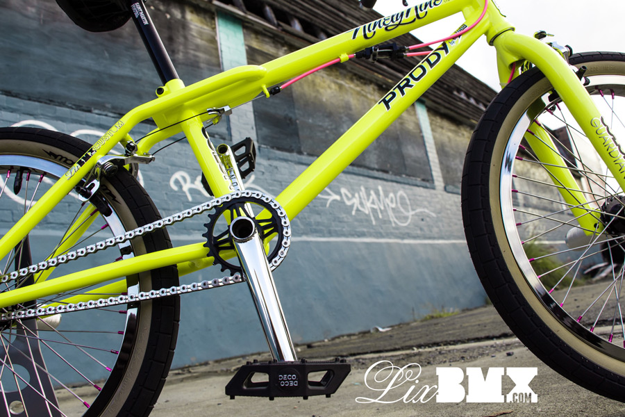 Colony_Prody_LixBMX-2014-0047