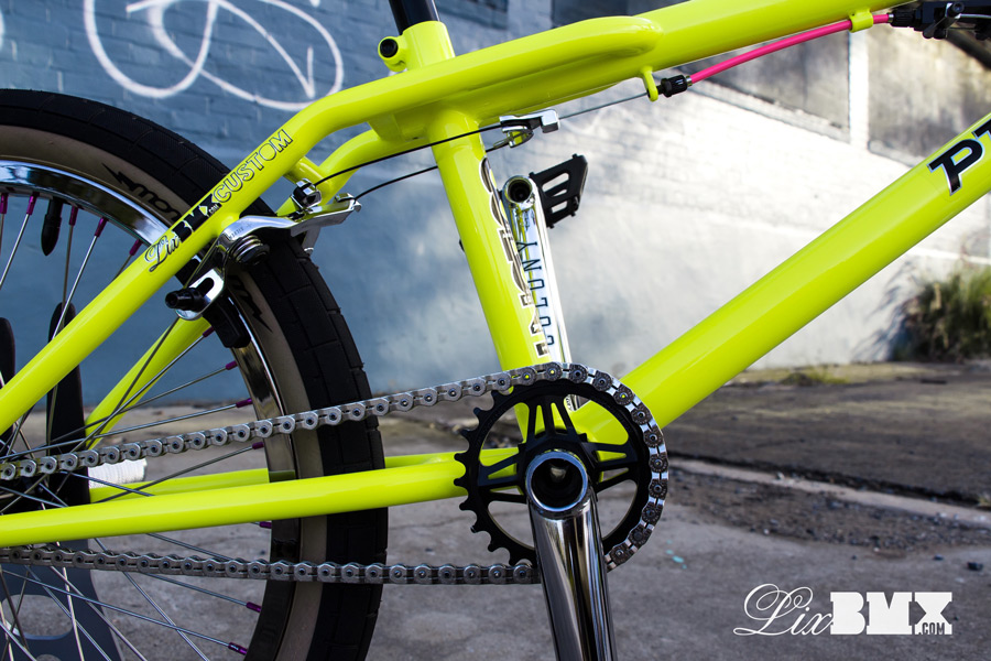 Colony_Prody_LixBMX-2014-0063